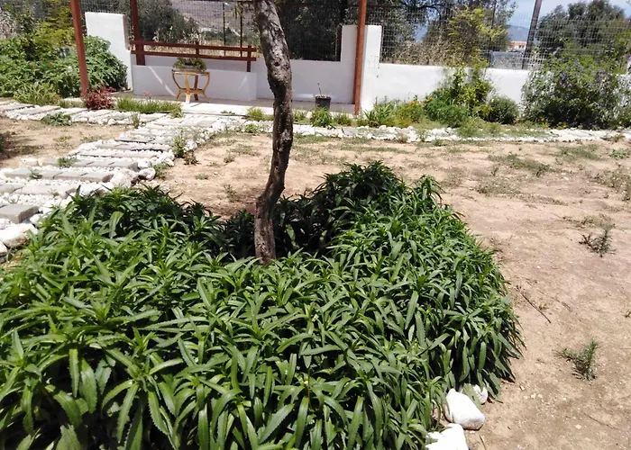 Alexadra\'S House Κάτω Αλμυρή